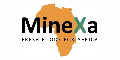 logo minexa
